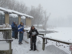 Birding in a blizzard